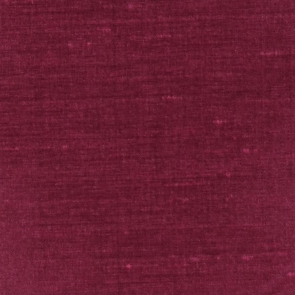 CHIMERA – ROSE