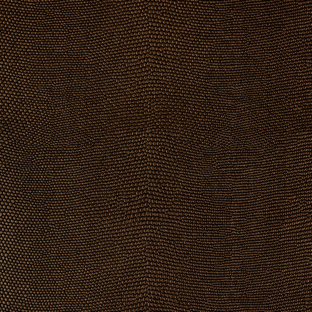 Iguana – Black Gold