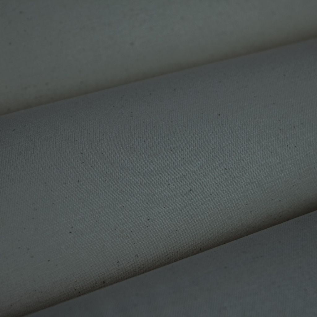 Expedition – Tidal Pool