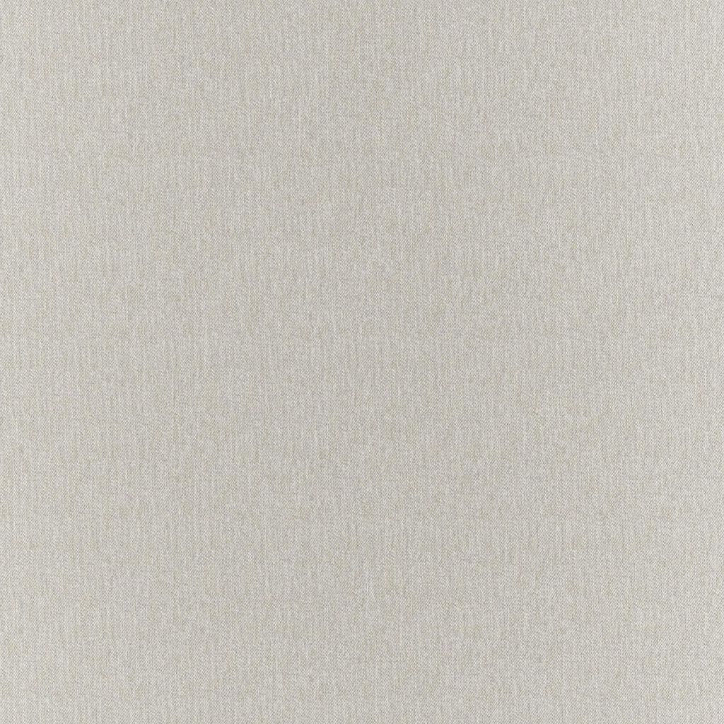 Clubhouse â Oyster - RM Coco Fabric