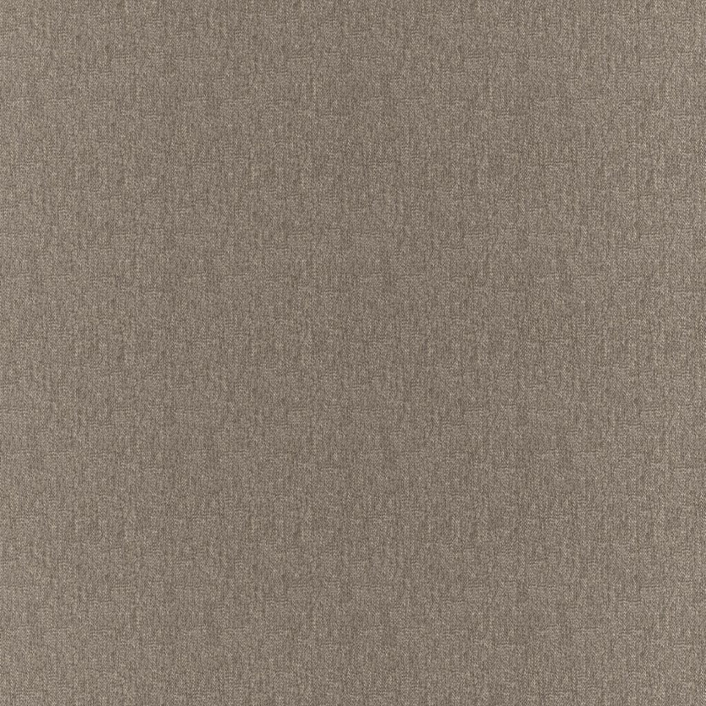 Clubhouse â Fossil - RM Coco Fabric