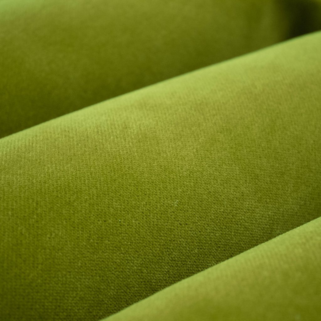 Savoir Faire Performance Velvet â Basil - RM Coco Fabric