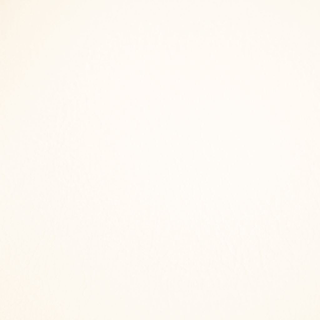 Fortitude Performance Vinyl â Flaked Coconut - RM Coco Fabric