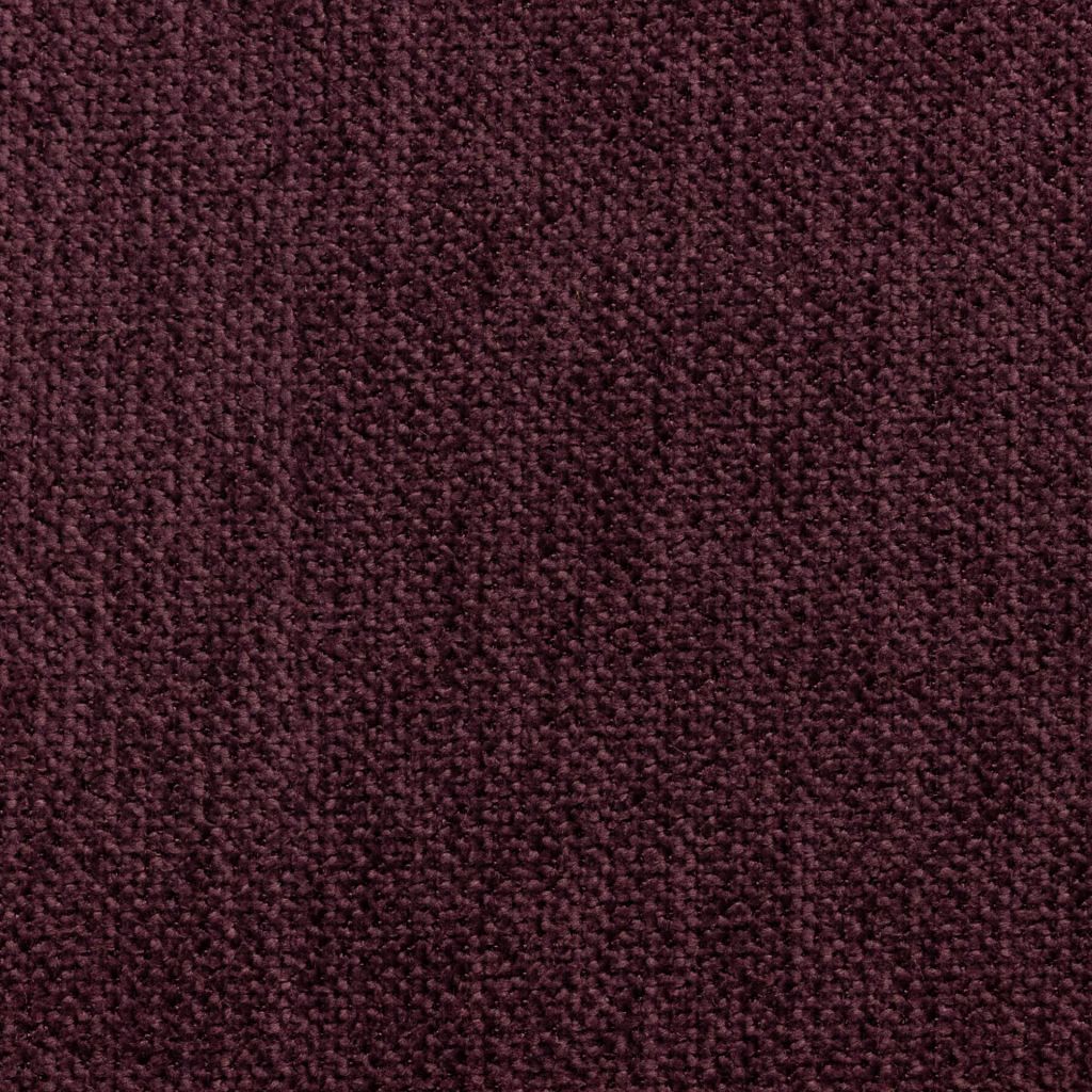 Wellington – African Violet