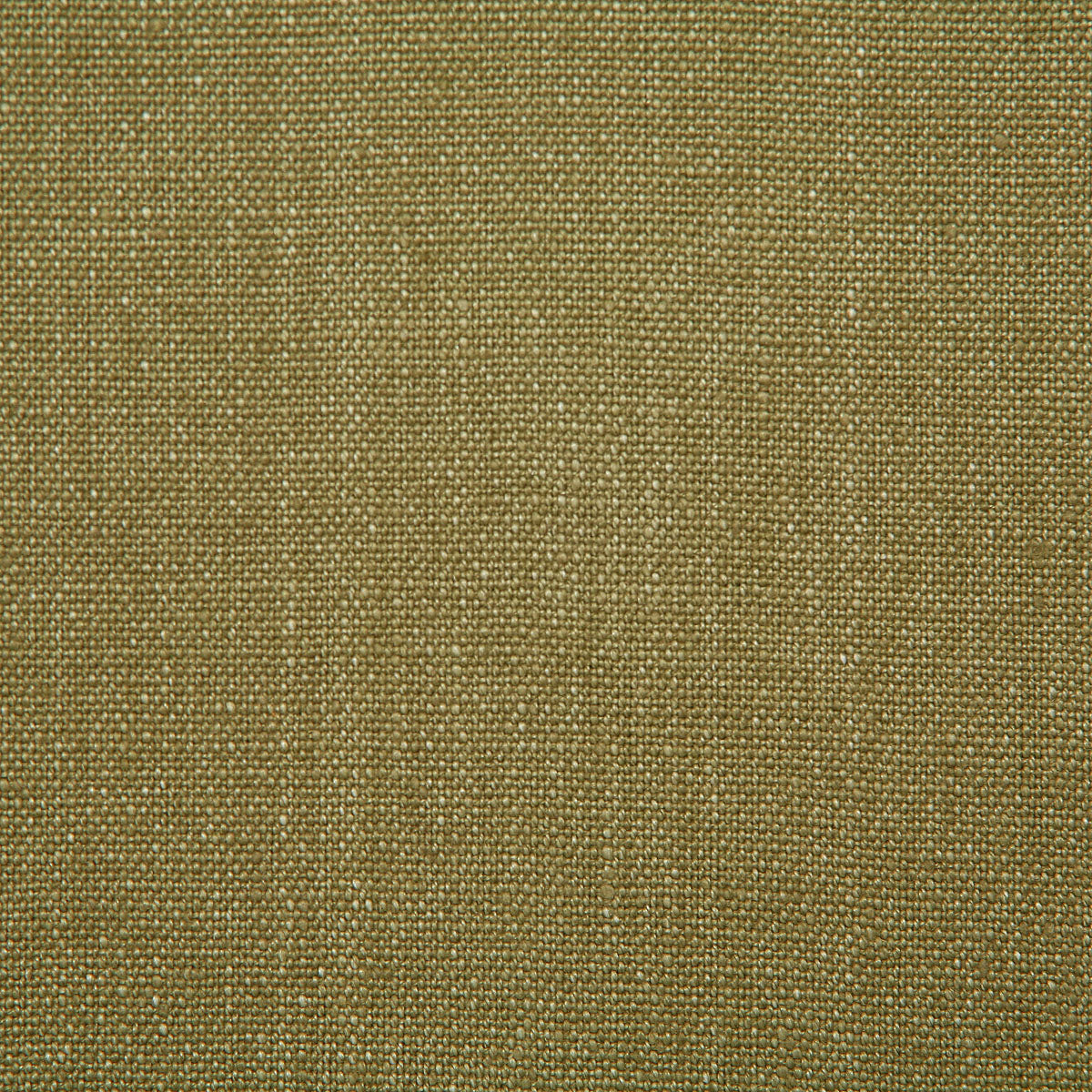1672-westley-aloe-pindler - Pindler Fabric