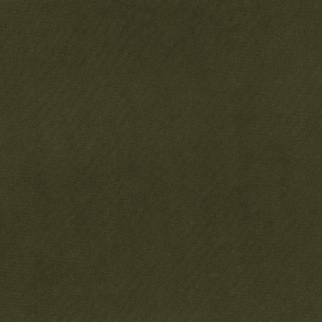 Marquee FR Velvet â Basil - RM Coco Fabric