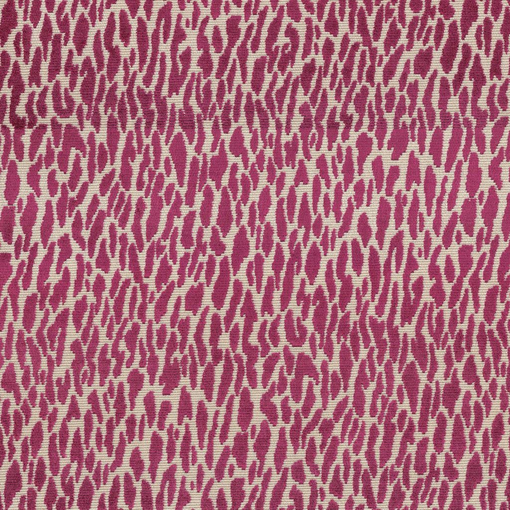Wild Thing â Fuchsia