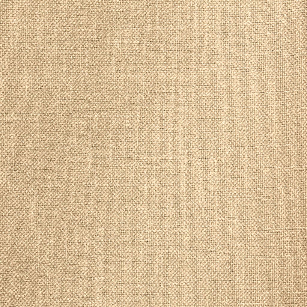 Smart Move – Harvest - RM Coco Fabric
