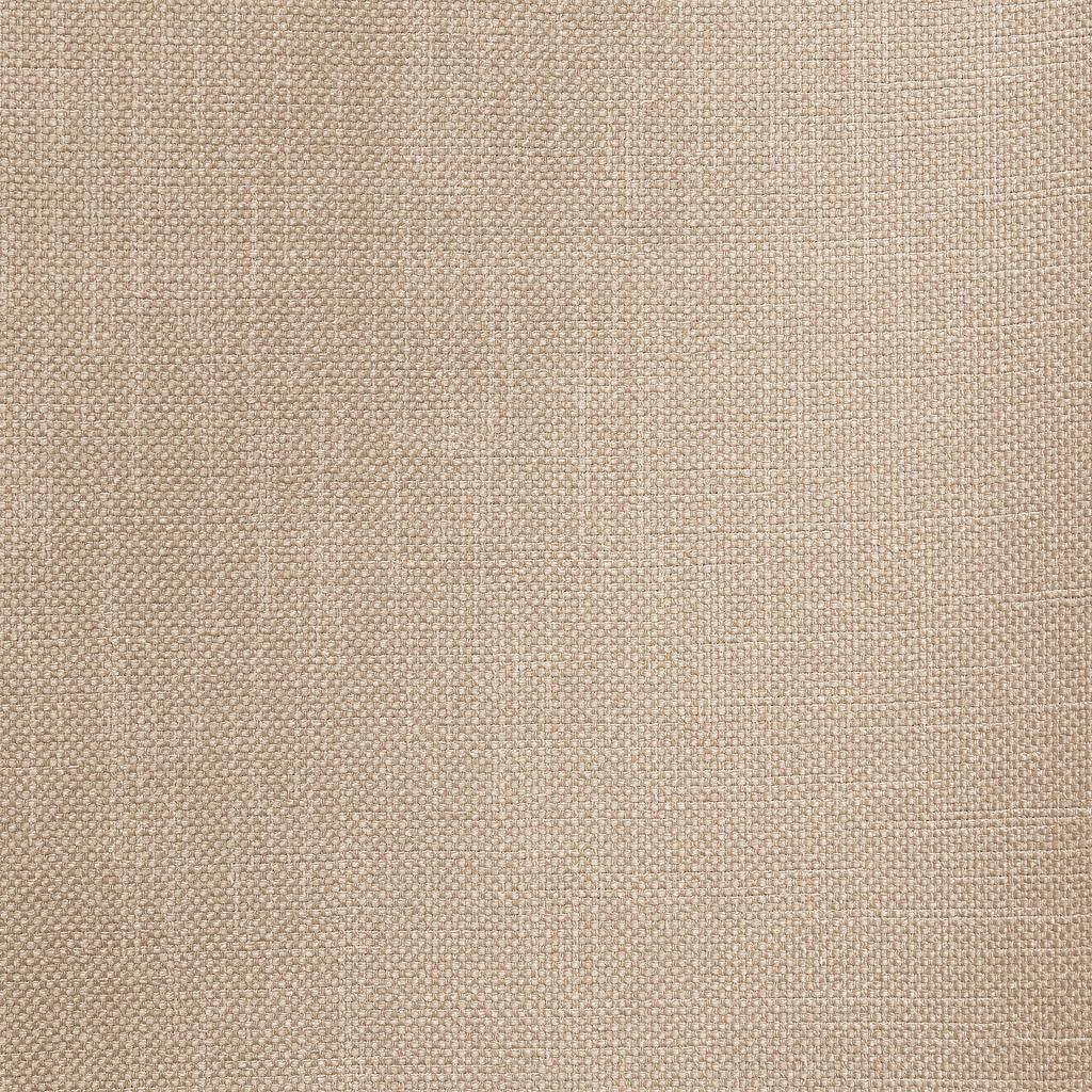 Smart Move – Metallic - RM Coco Fabric