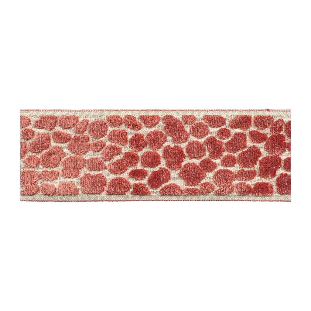 BD135 Border 3.5" â Mimosa - RM Coco Trim