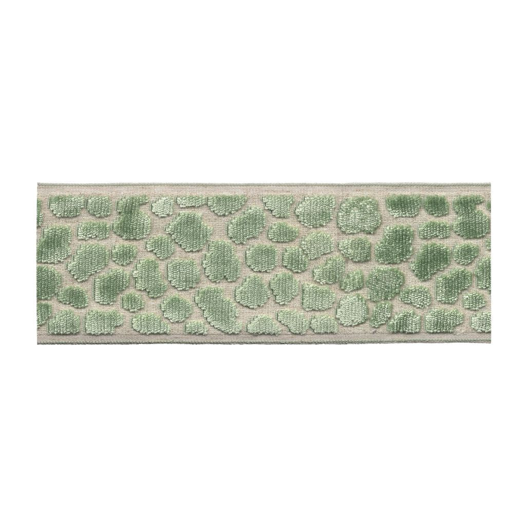 BD135 Border 3.5" â Iceberg - RM Coco Trim