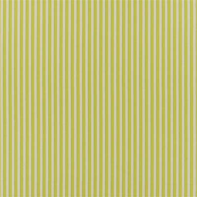albemarle-stripe-lime-designers-guild-fdg3212-04