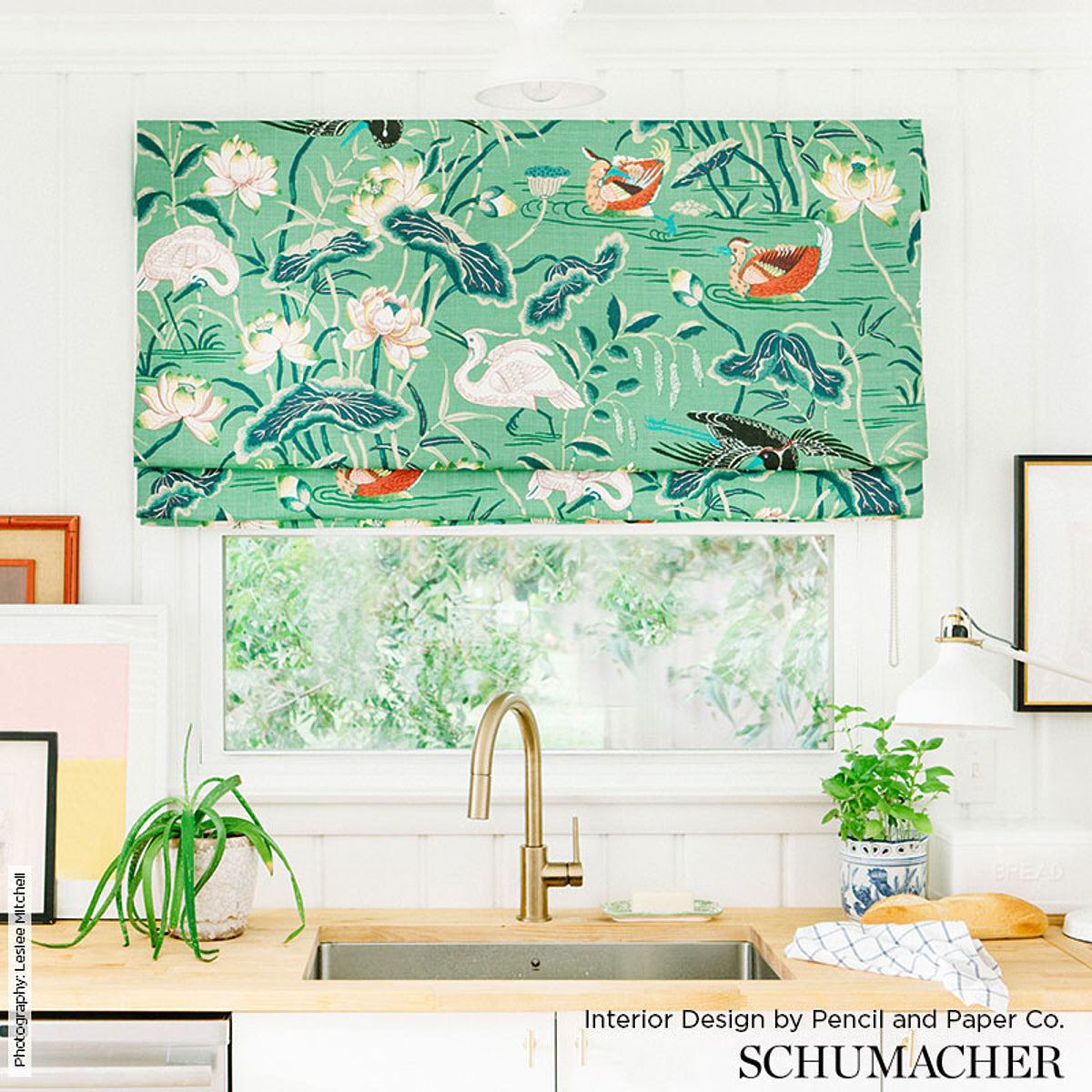 LOTUS-GARDEN-JADE-SCHUMACHER-172935