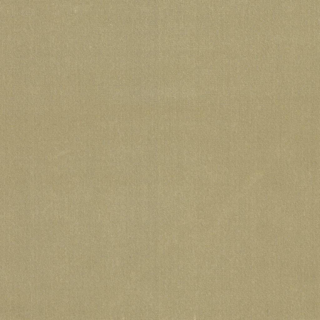 Soleil Performance Velvet â Sand Dune - RM Coco Fabric