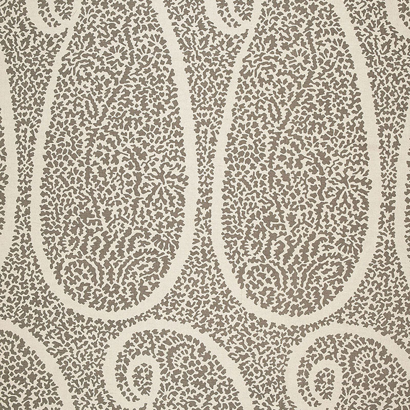AMBALA-PAISLEY-GREIGE-SCHUMACHER-174640