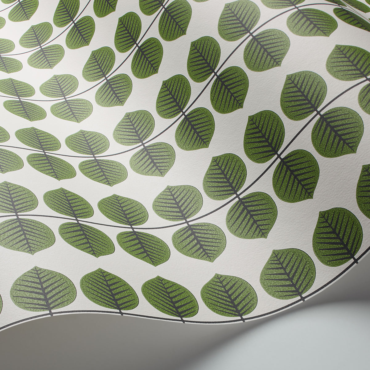BERS-LEAF-SCHUMACHER-1750