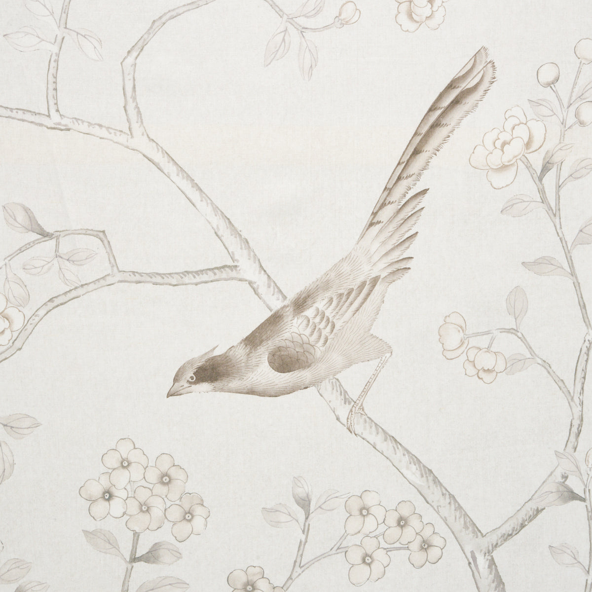 CHINOIS-PALAIS-NEUTRAL-SCHUMACHER-175048