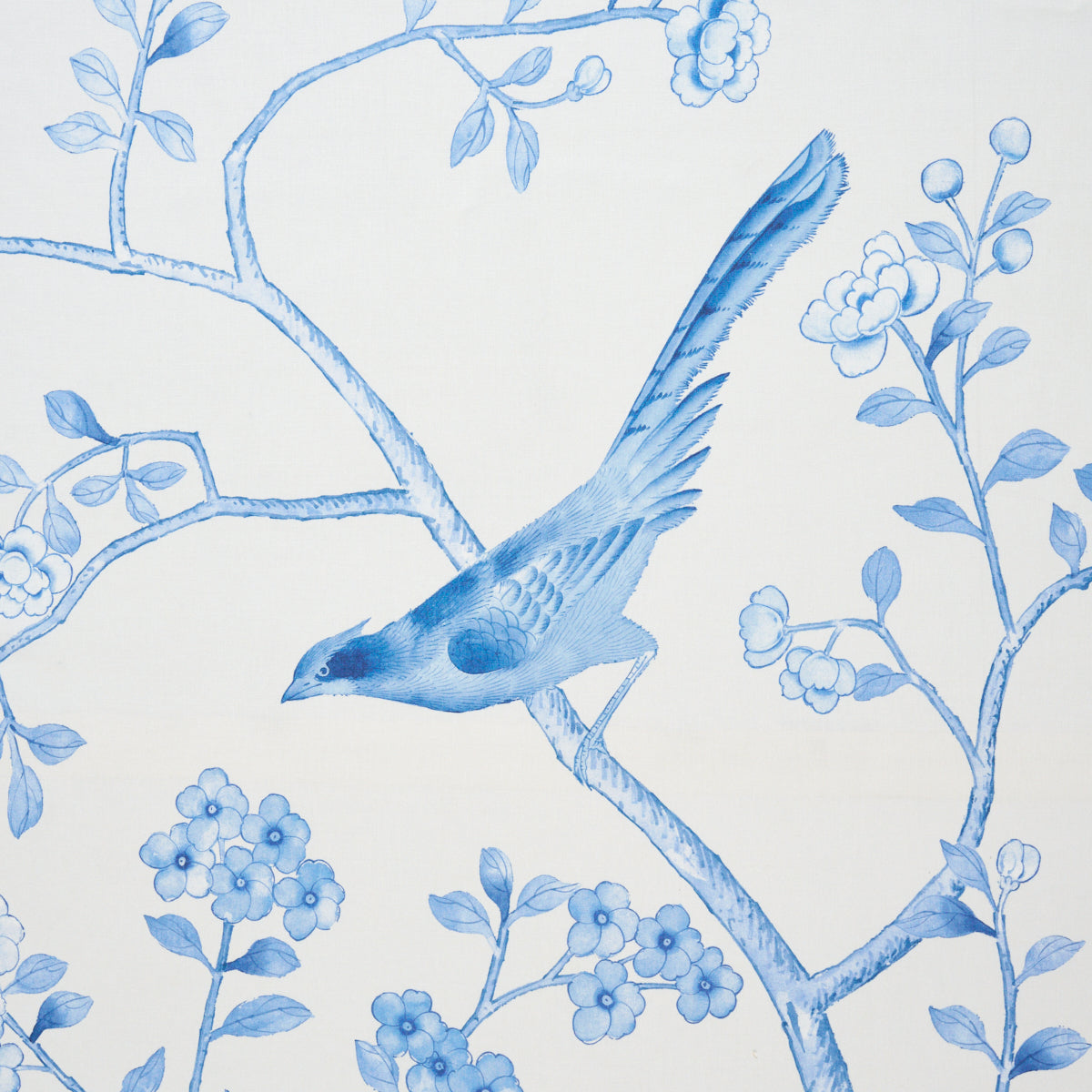 CHINOIS-PALAIS-PORCELAIN-SCHUMACHER-175049