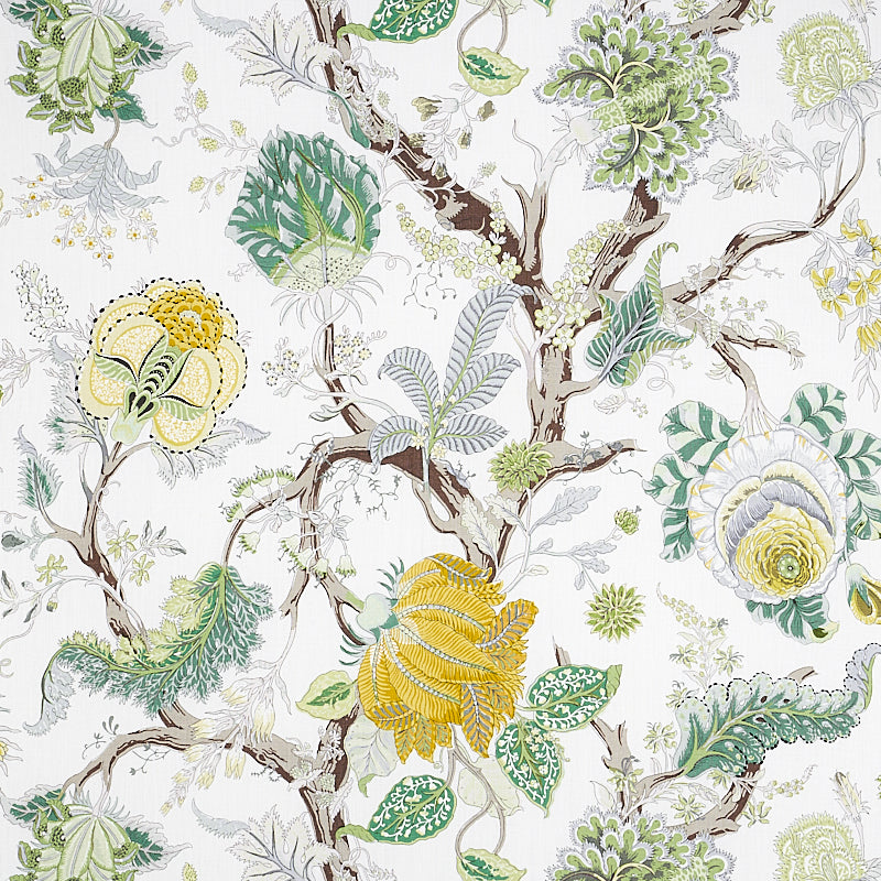 INDIAN-ARBRE-CITRON-SCHUMACHER-175783