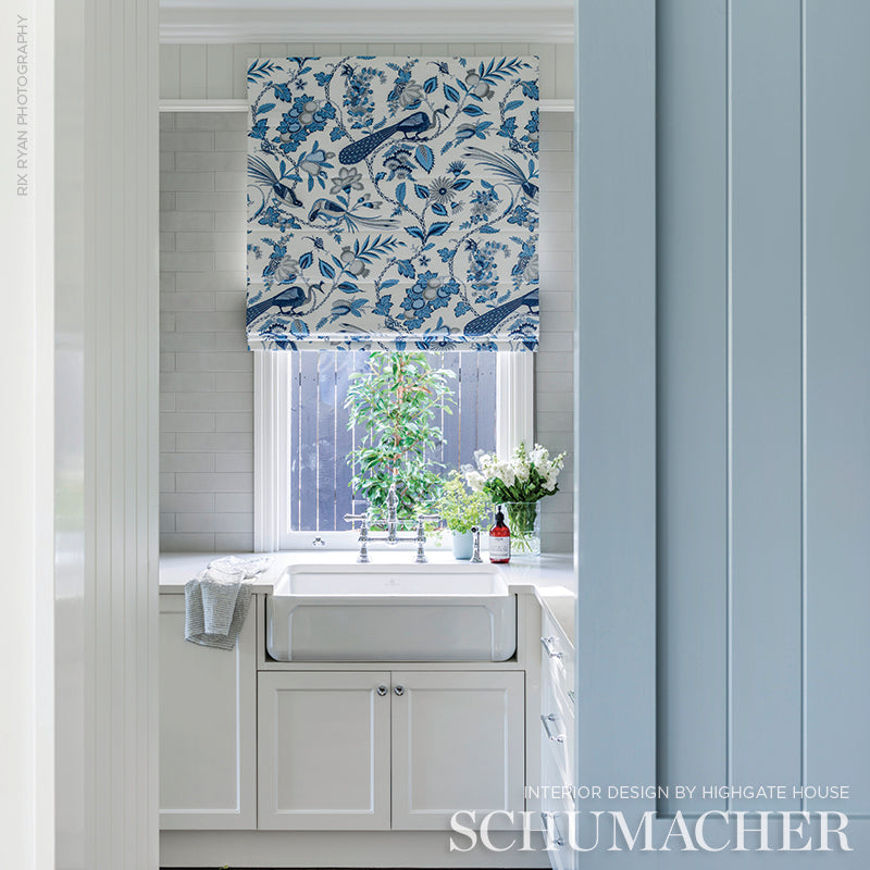 CAMPAGNE-BLEU-GRIS-SCHUMACHER-175952
