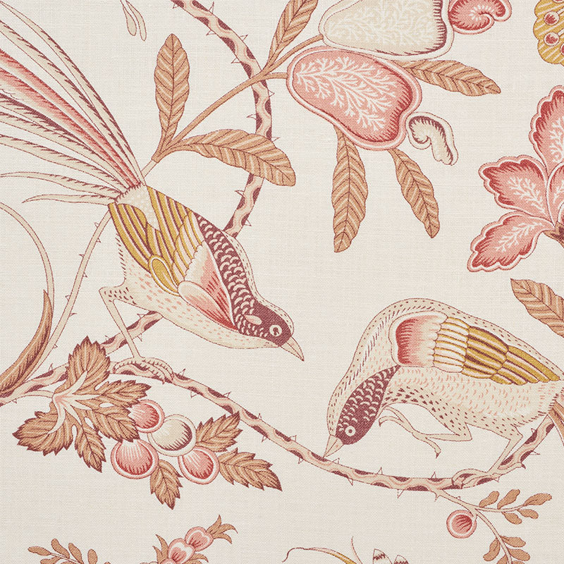 CAMPAGNE-ROSE-OCHRE-SCHUMACHER-175955