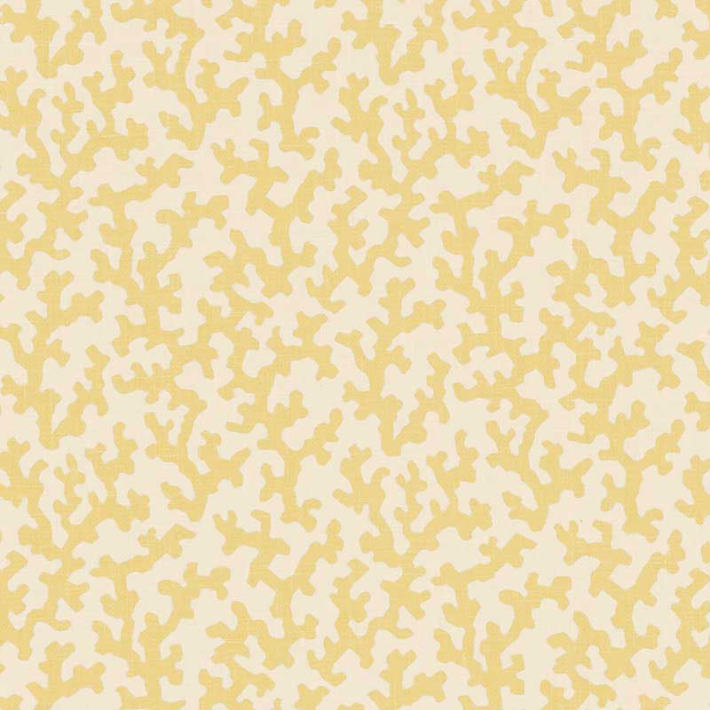 FOLLY-STRAW-SCHUMACHER-176122