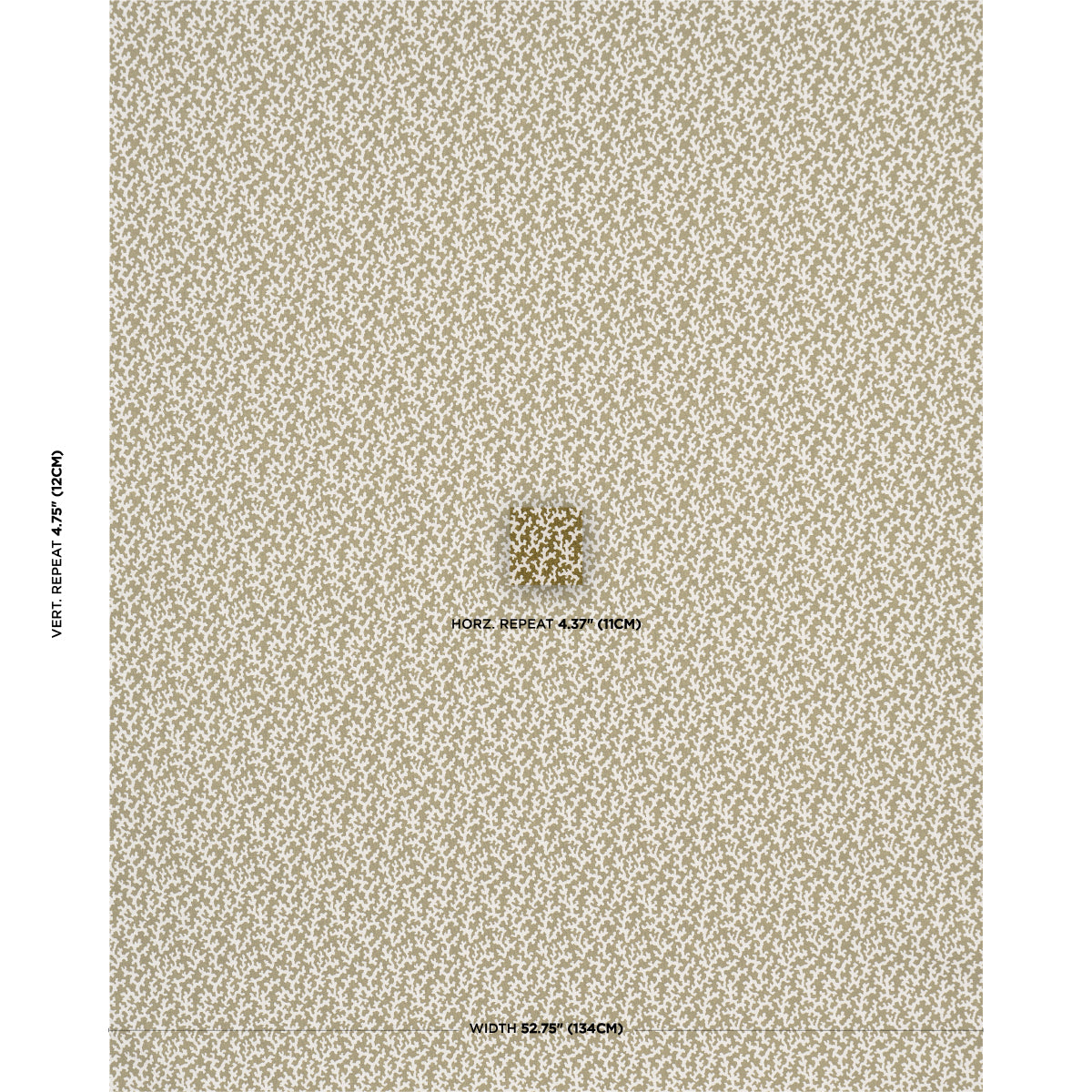 FOLLY-OLIVE-SCHUMACHER-176129