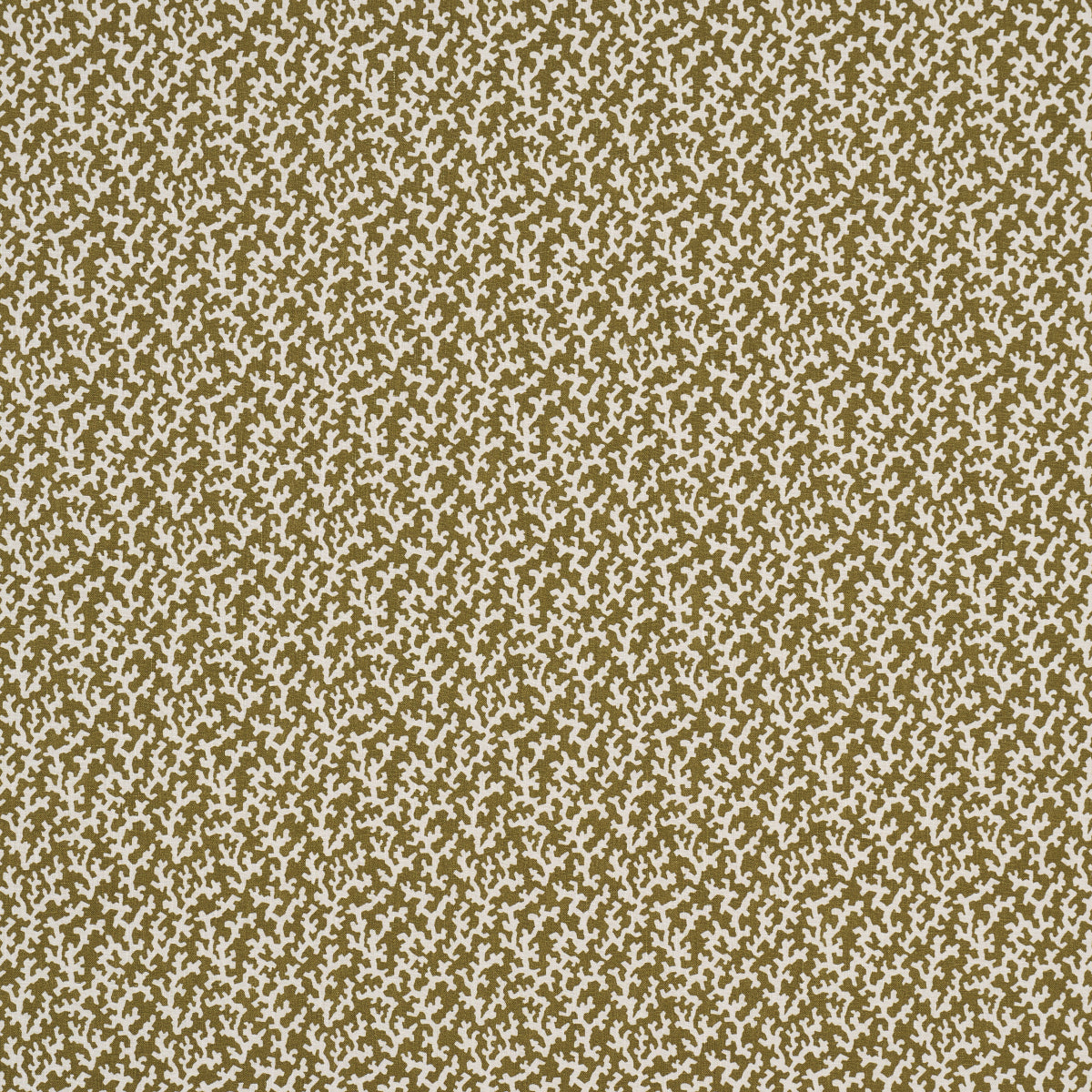 FOLLY-OLIVE-SCHUMACHER-176129