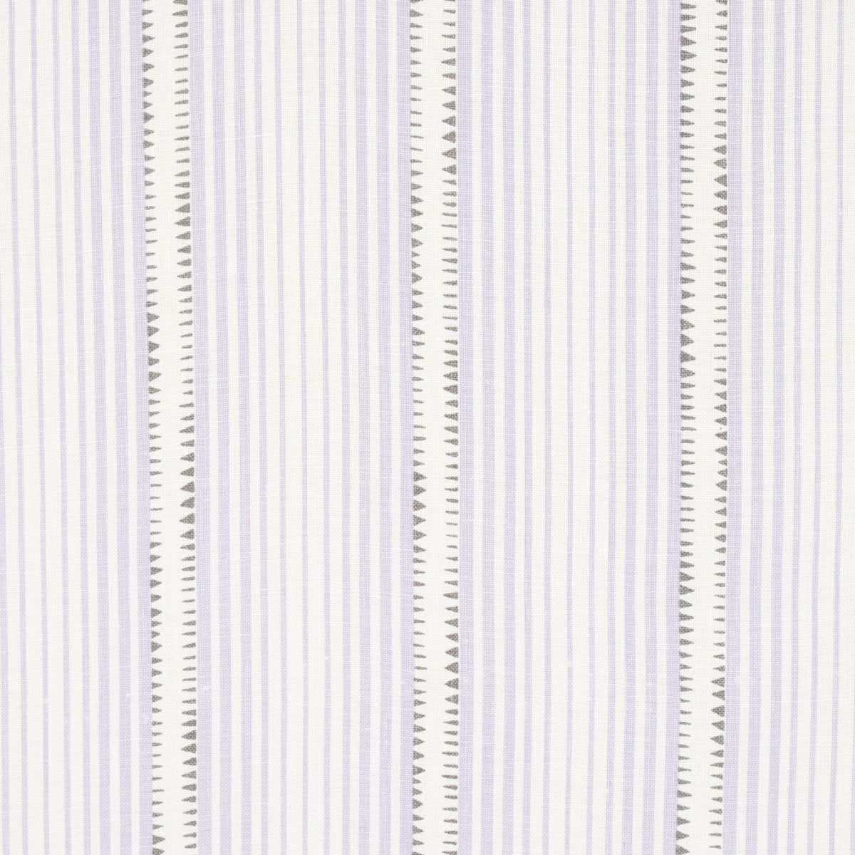 MONCORVO-LILAC-SCHUMACHER-176277