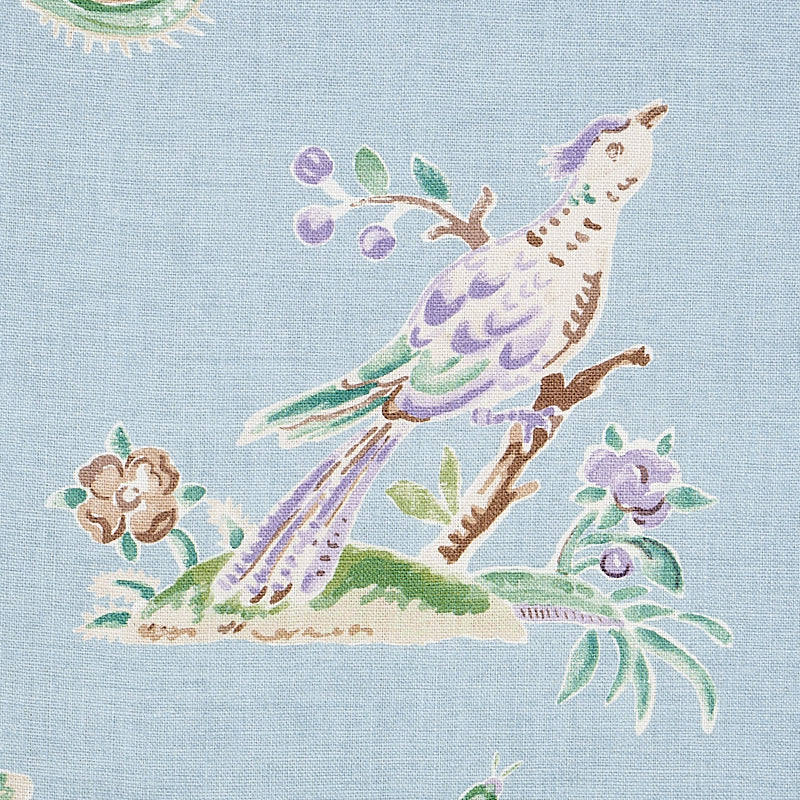 MAGICAL-MENAGERIE-SKY-SCHUMACHER-176755