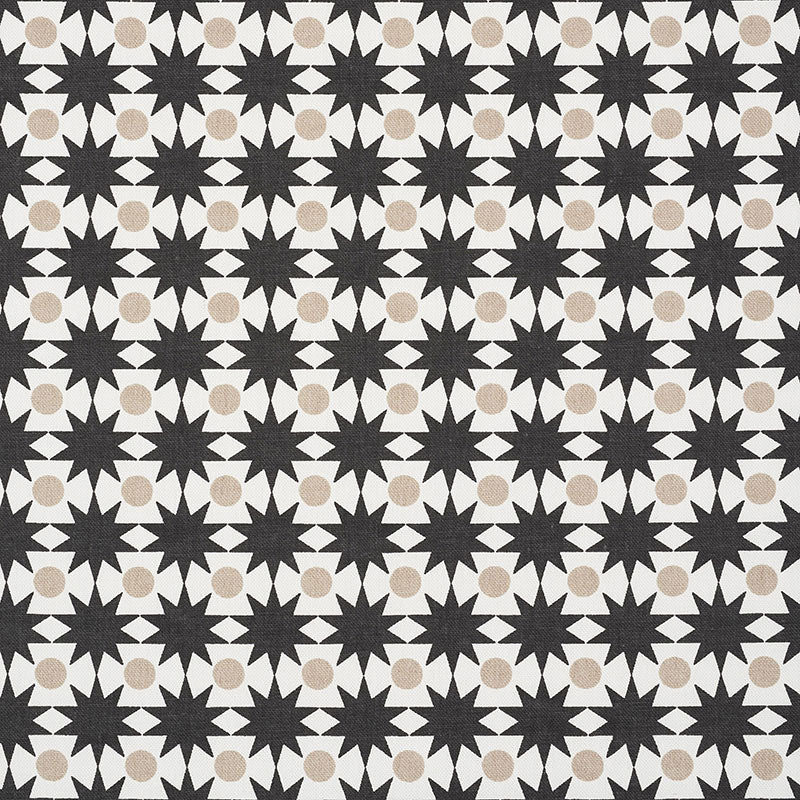 COSMOS-BLACK-SAND-SCHUMACHER-177063