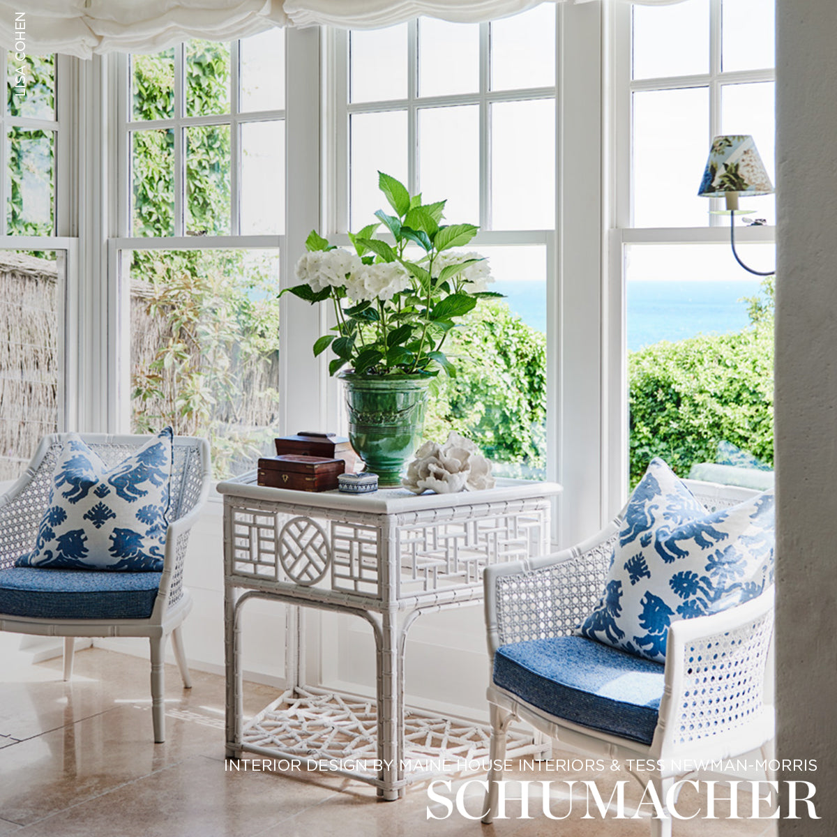 REGALIA-NAVY-SCHUMACHER-177305