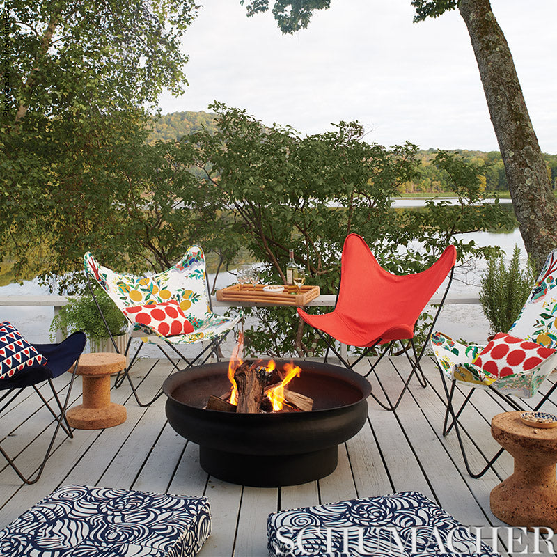 CITRUS-GARDEN-INDOOR-OUTDOOR-PRIMARY-SCHUMACHER-177330
