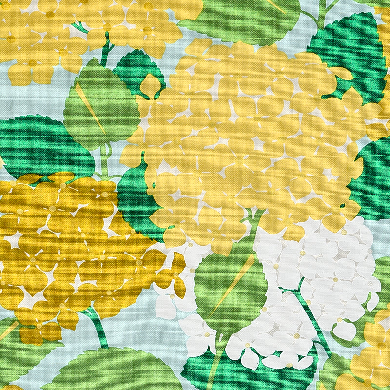 HYDRANGEA-YELLOW-SCHUMACHER-177581