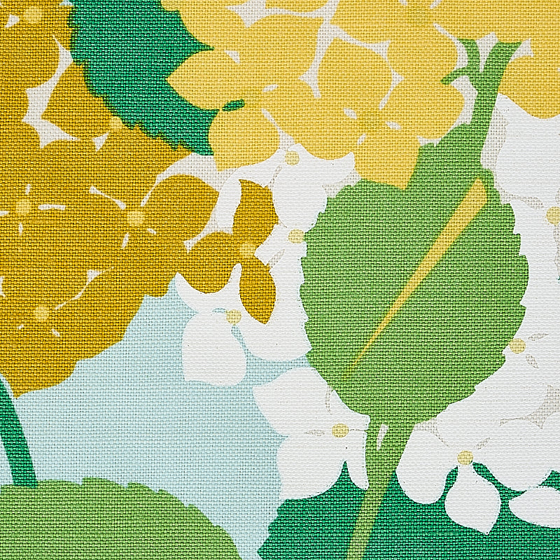 HYDRANGEA-YELLOW-SCHUMACHER-177581