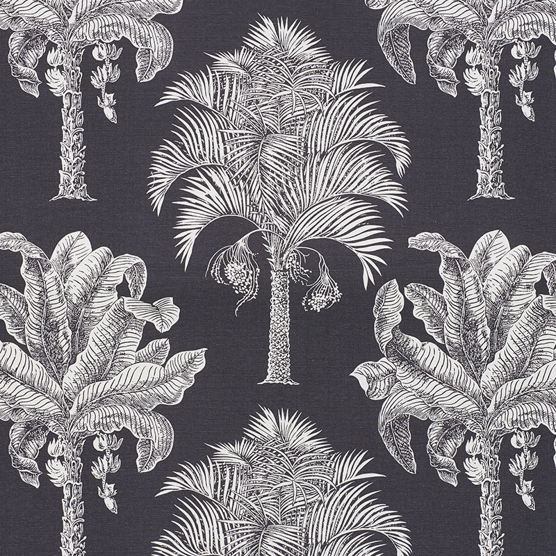 GRAND-PALMS-CARBON-SCHUMACHER-178003