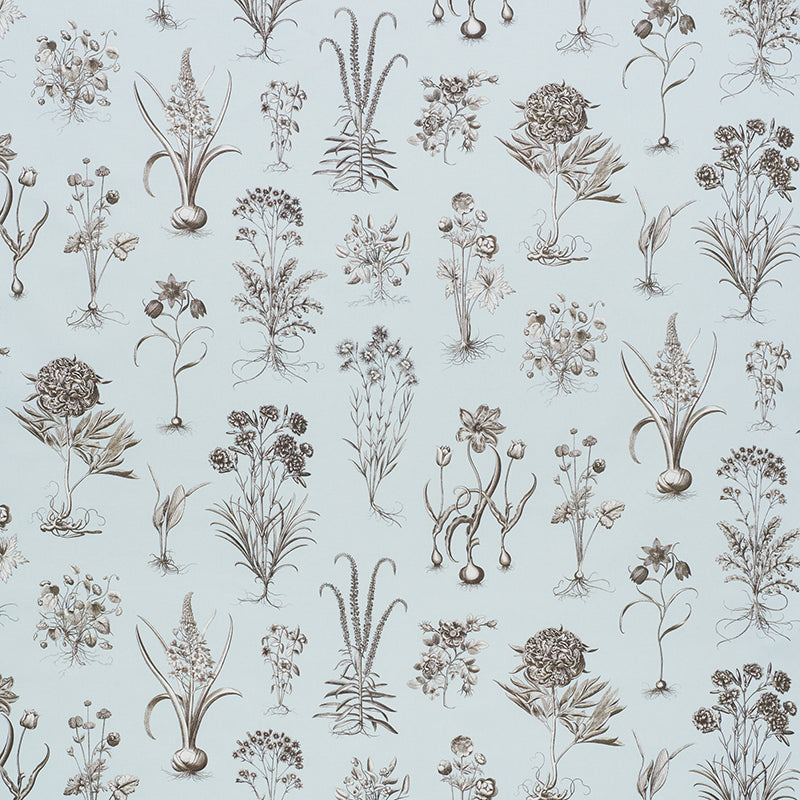 CABOT-BOTANICAL-SKY-SCHUMACHER-178750