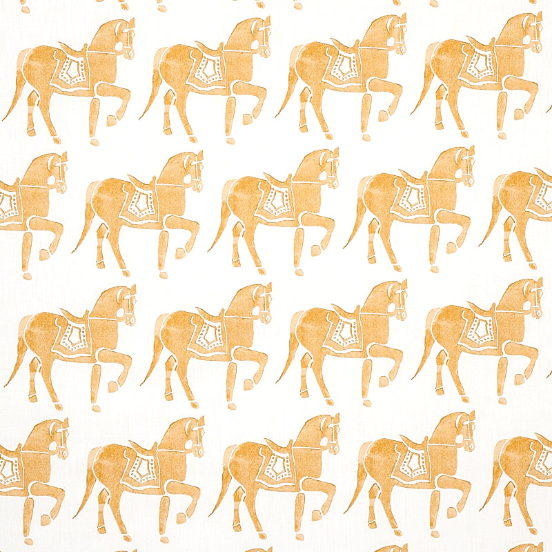 MARWARI-HORSE-MUSTARD-SCHUMACHER-179131
