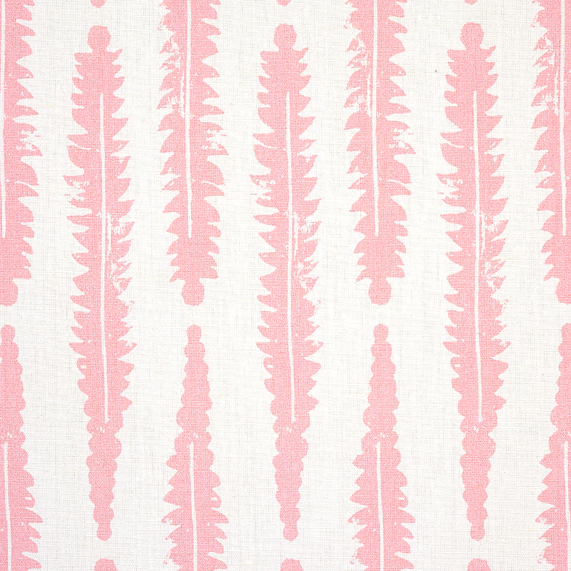 FERN-PINK-SCHUMACHER-179150