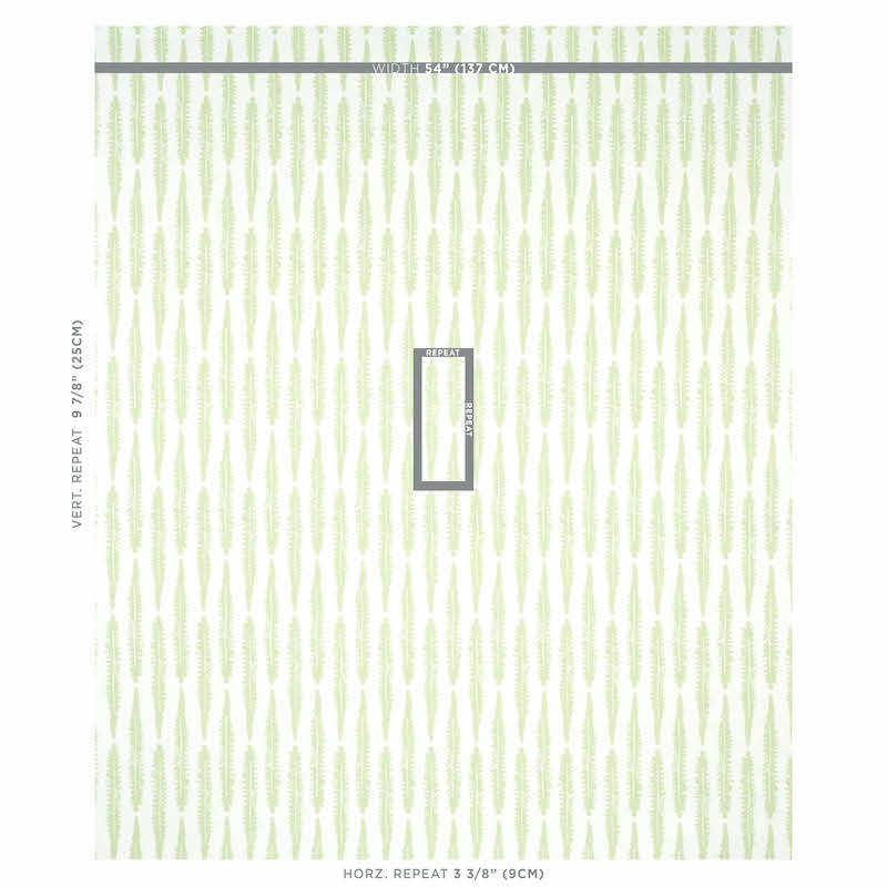 FERN-SAGE-SCHUMACHER-179151