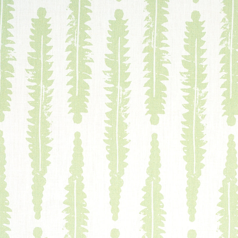 FERN-SAGE-SCHUMACHER-179151