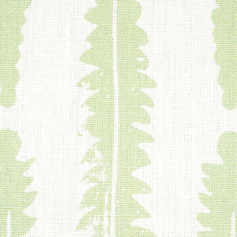 FERN-SAGE-SCHUMACHER-179151