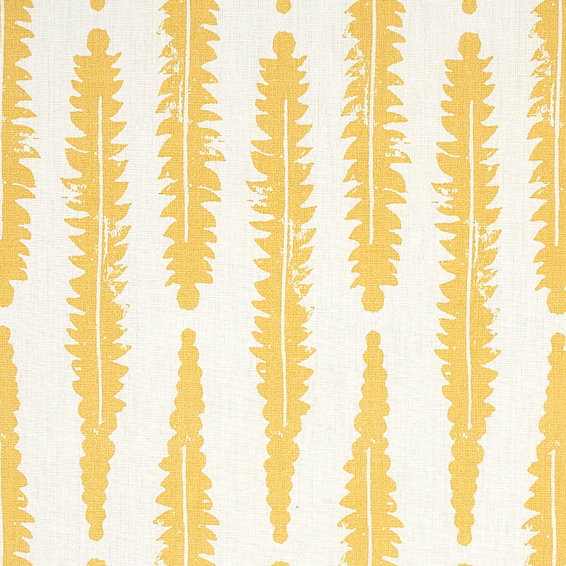 FERN-MUSTARD-SCHUMACHER-179152
