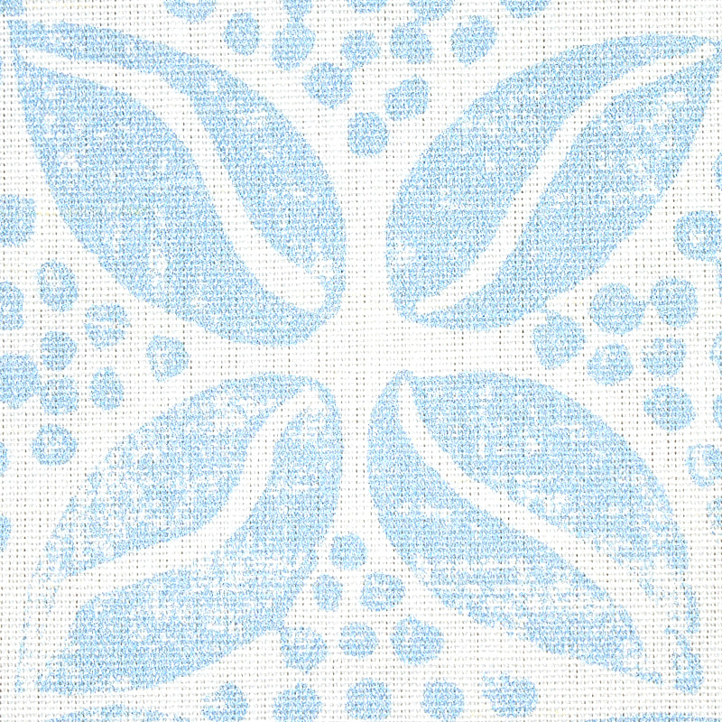 COFFEE-BEAN-SKY-SCHUMACHER-179201