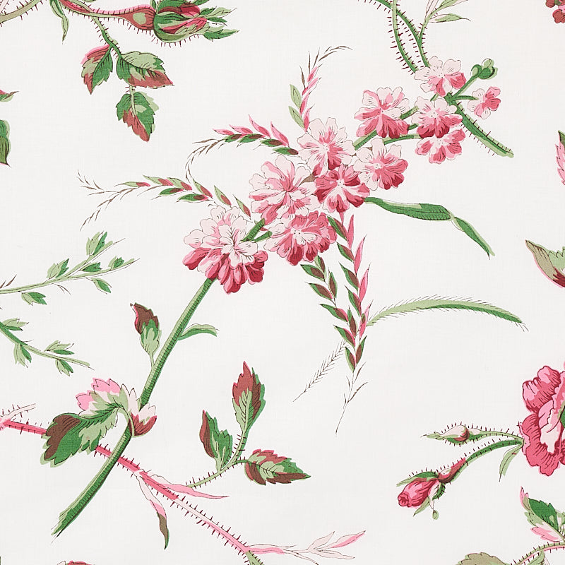 BELUZE-MAGENTA-SCHUMACHER-179622