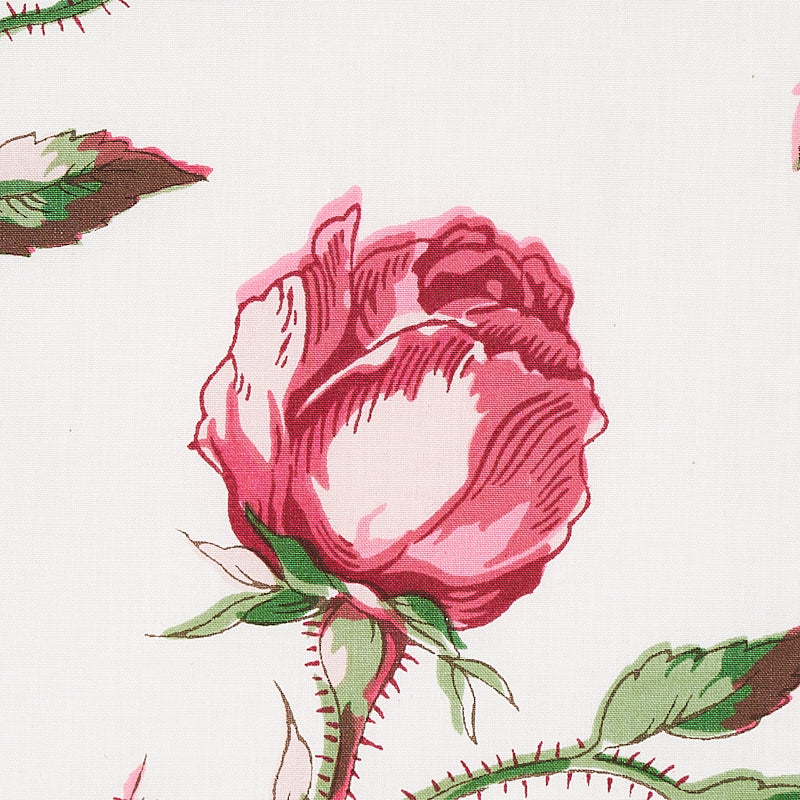 BELUZE-MAGENTA-SCHUMACHER-179622