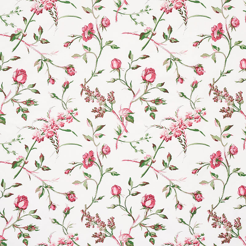 BELUZE-MAGENTA-SCHUMACHER-179622