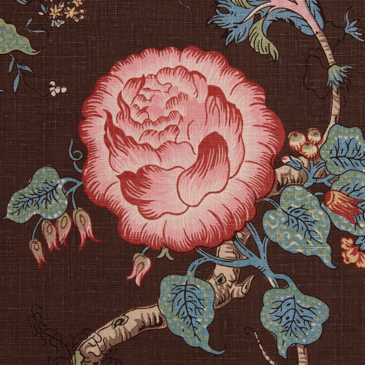 JOSEPHINE-CINNABAR-SCHUMACHER-179654