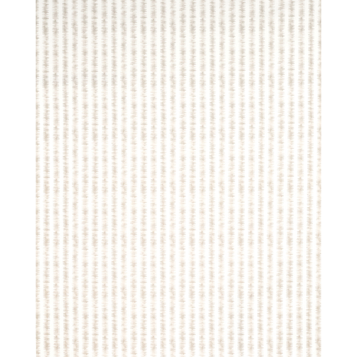 CARDIOGRAM-STONE-SCHUMACHER-180181