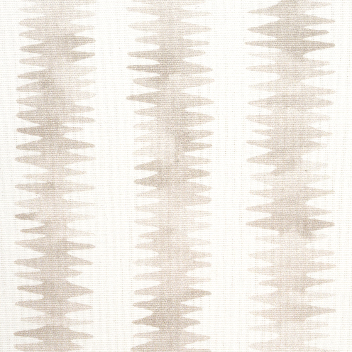 CARDIOGRAM-STONE-SCHUMACHER-180181